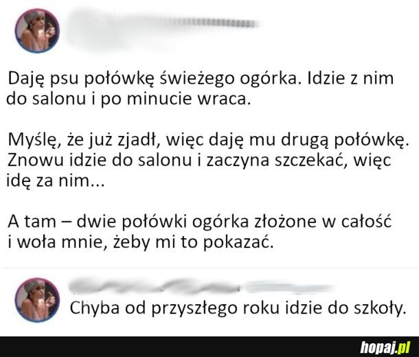 Widzę w nim potencjał