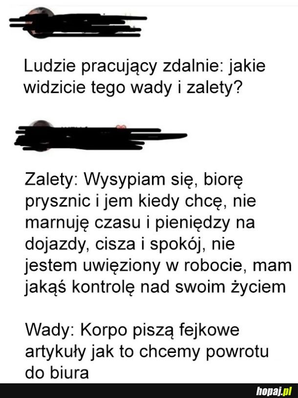 Wady i zalety pracy zdalnej