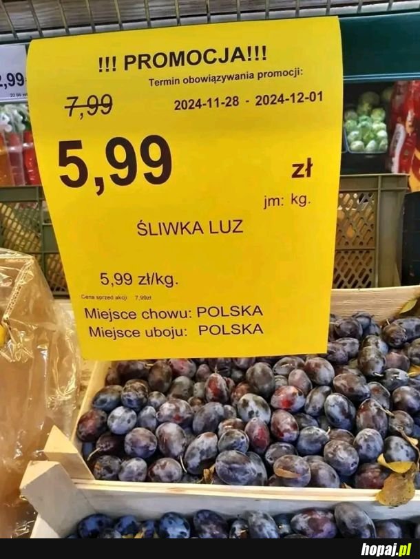 Szach mat, wegetarianie