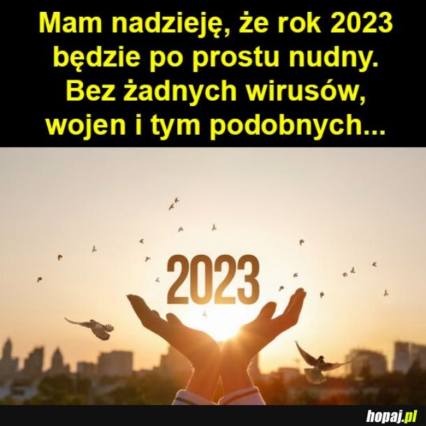 2023 rok