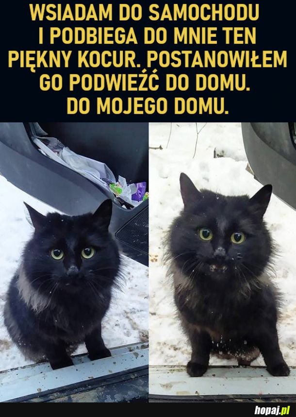 Podwózka do domu