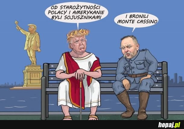 Sojusznicy