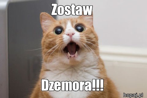 Zostaw