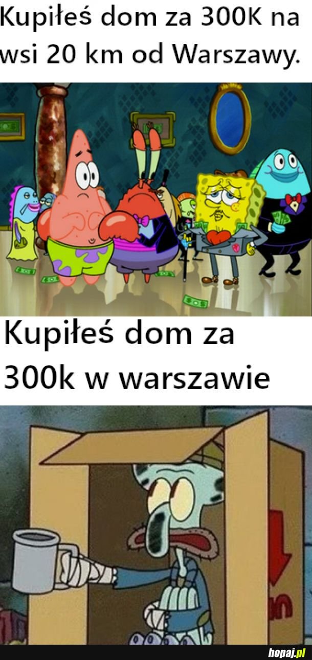 Źródło informacji o*o d*m