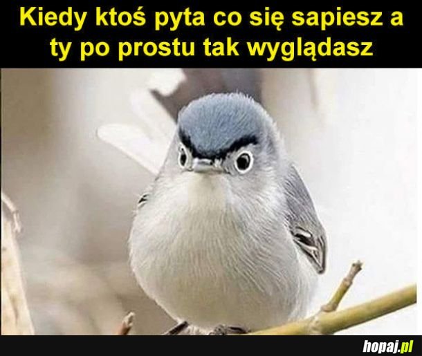 Tak wyglądam
