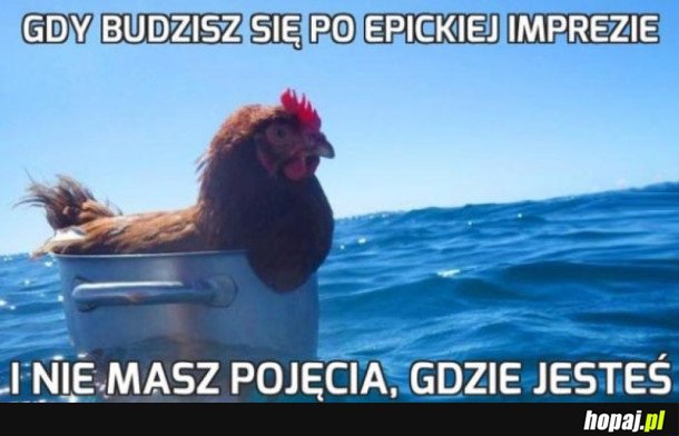 GDZIE JA JESTEM