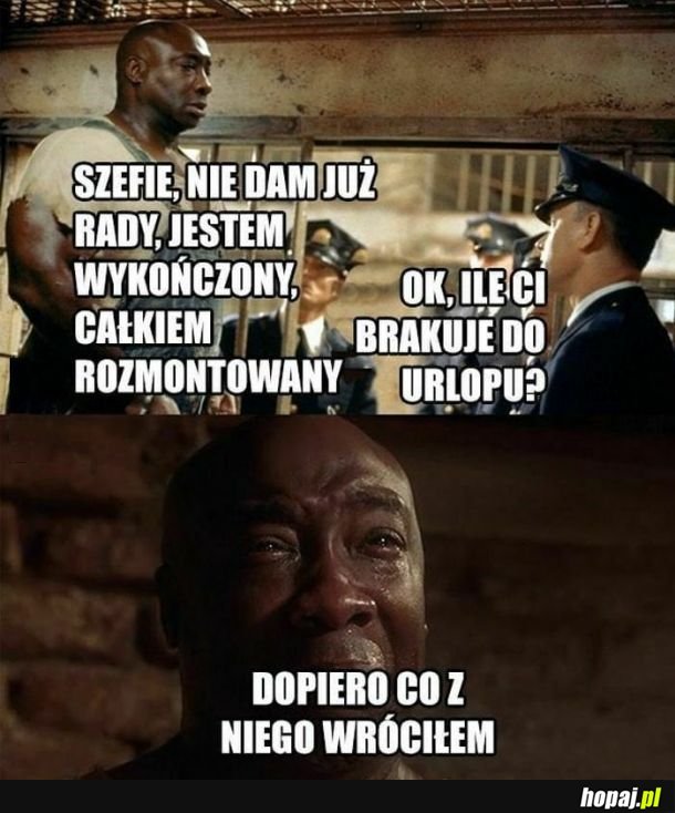 Jak co roku