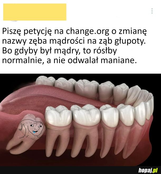 Petycja o zmianę nazwy