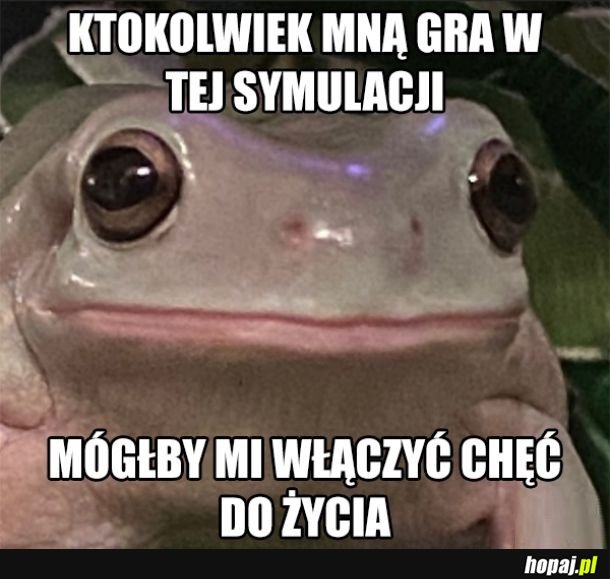 Chęć do życia