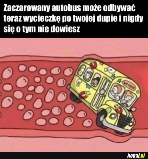 Zaczarowany autobus