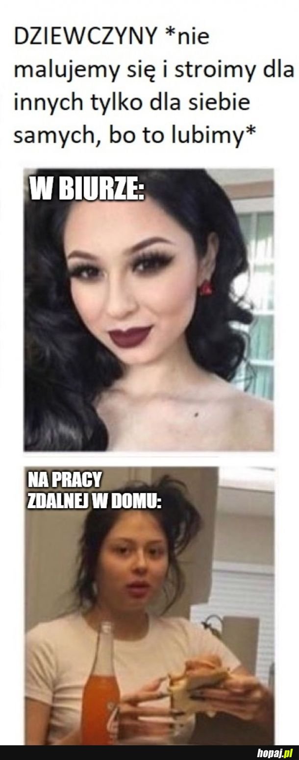 Logika lasek
