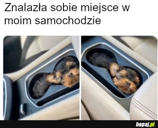 Podstawka pod pupilka