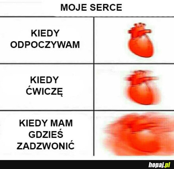 MOJE SERCE