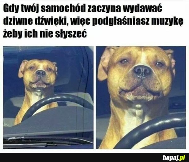 JEST PROBLEM JEST I ROZWIĄZANIE