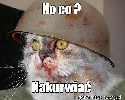 No co ?