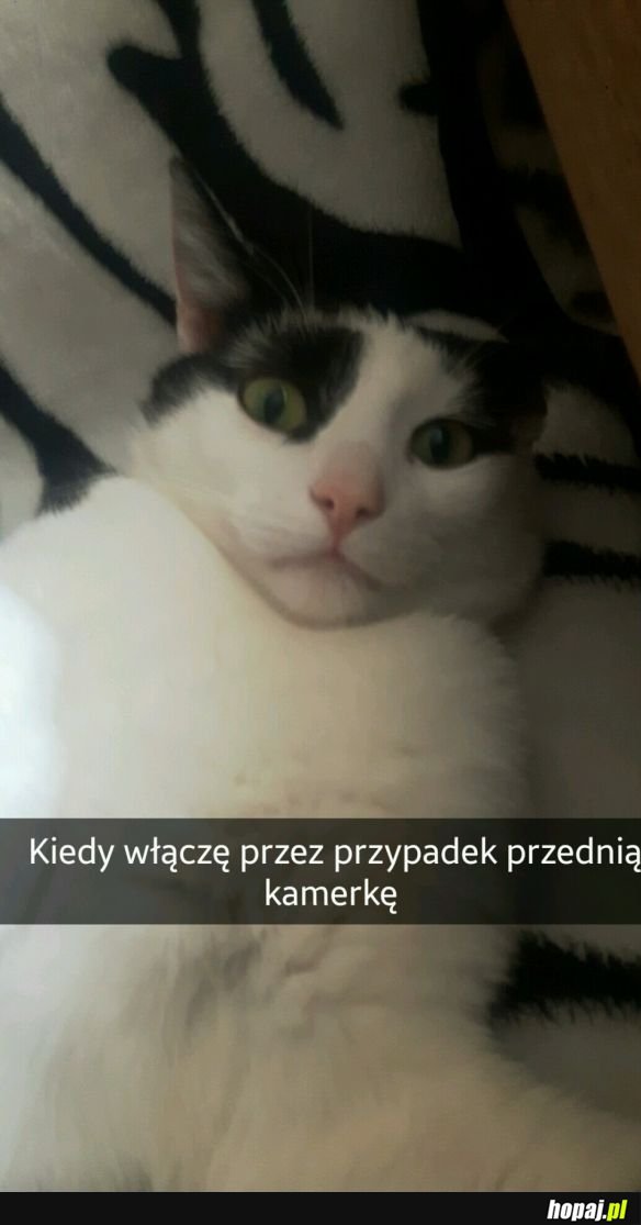 KOTEŁ