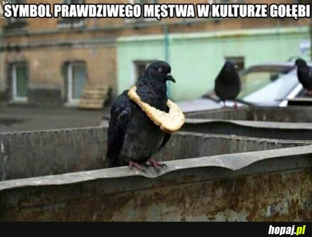 PRAWDZIWY BOHATER