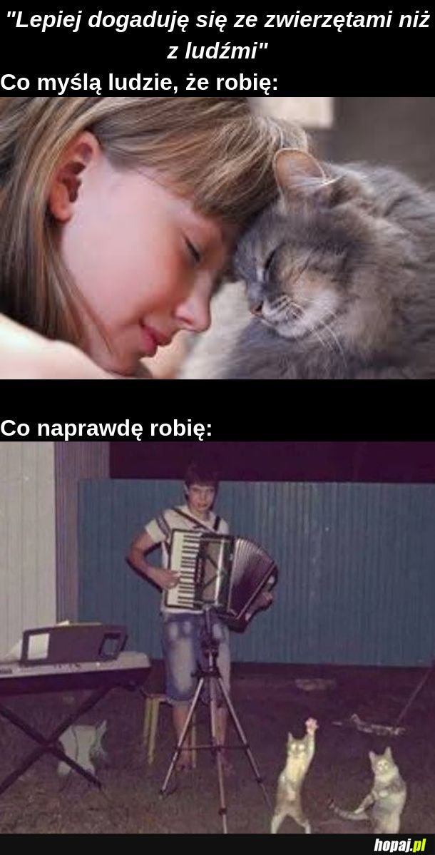  Zwierzęta 