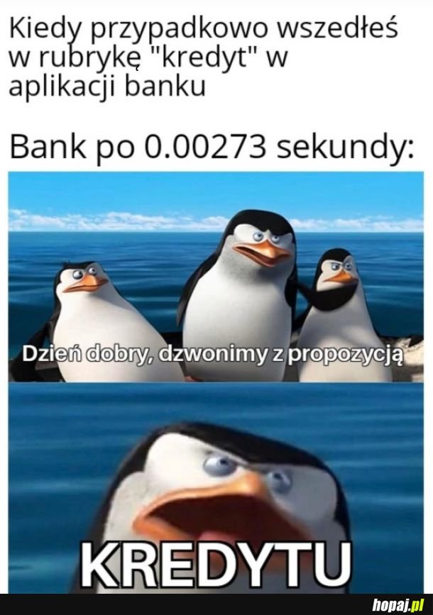 Po co mi to było?