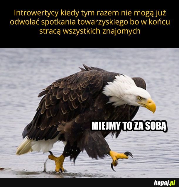 Szybkie piwo i do domu