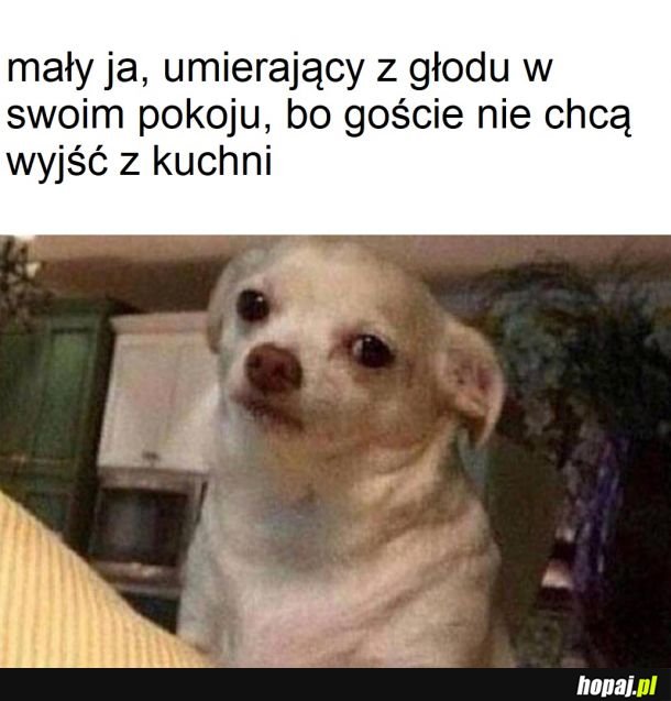 No ile można