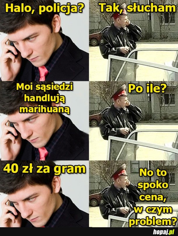 HALO, POLICJA