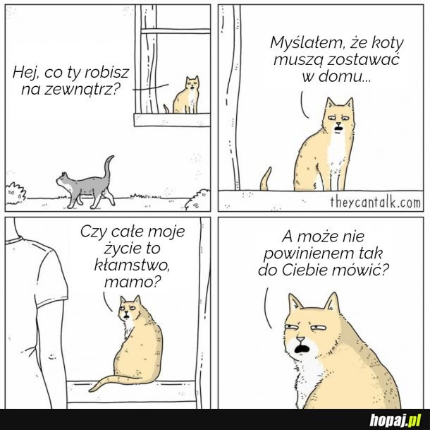 Kim Ty właściwie jesteś?
