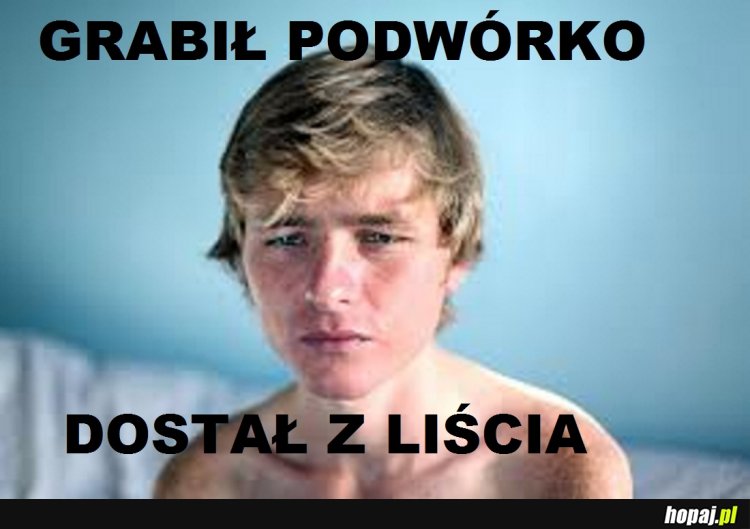 DOSTAŁ