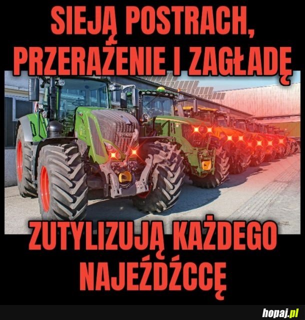 Złe Terrafirmanatory!