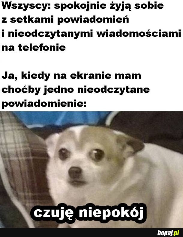 Setki powiadomień