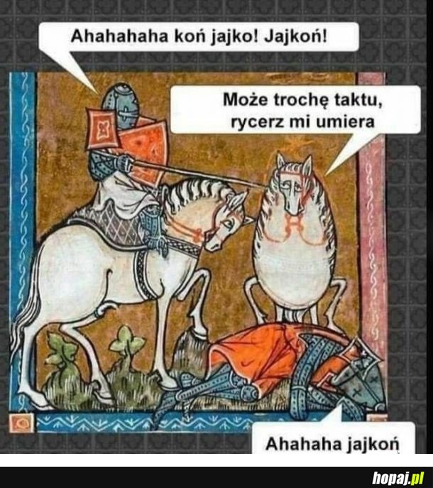 Jajkoń