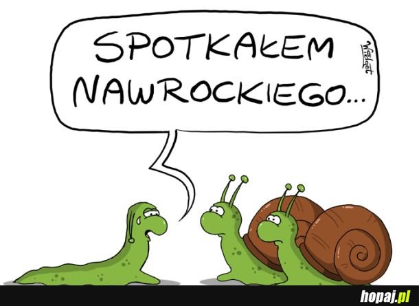 Ślimaki