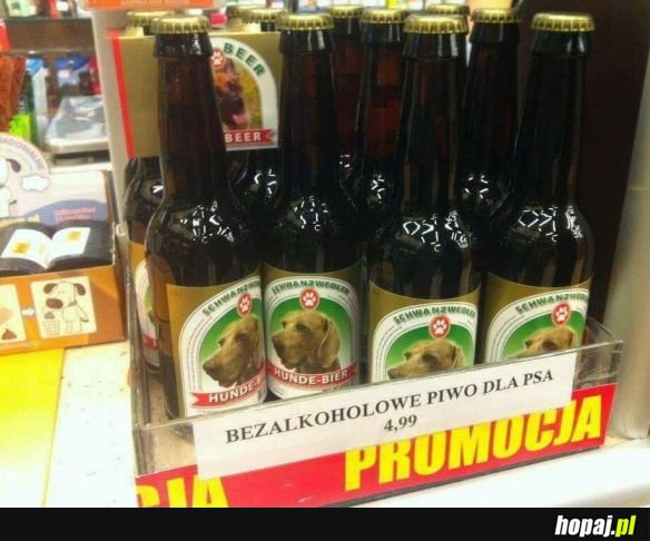 Po co i dlaczego