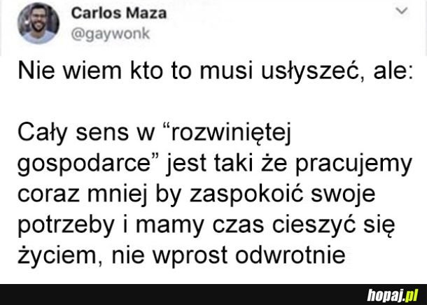 Sens rozwiniętej gospodarki