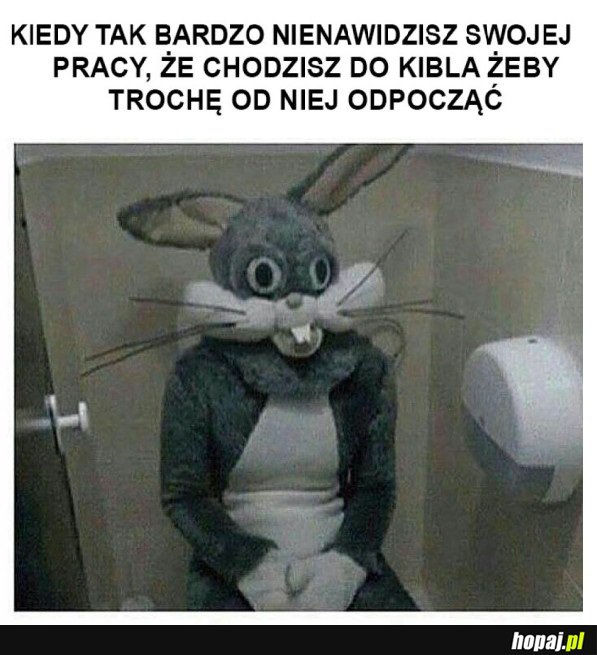 JEDYNA CHWILA RELAKSU W PRACY