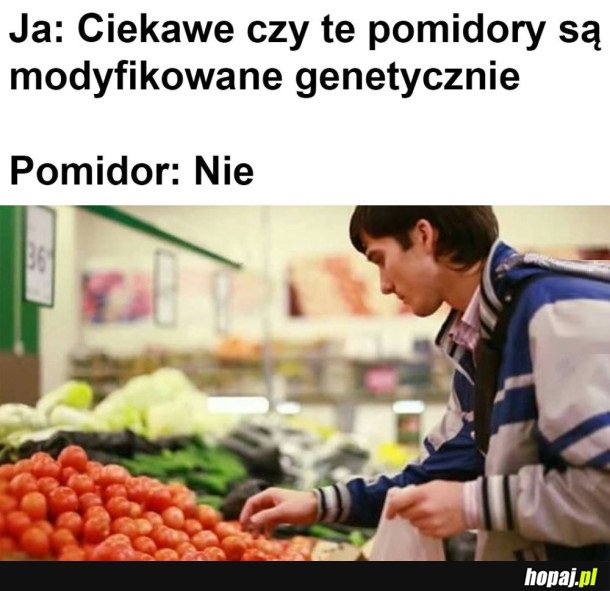 POMIDOR WYJAŚNIŁ