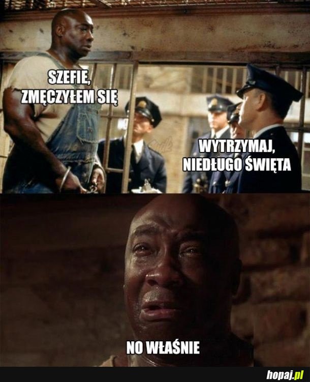Już mam dość