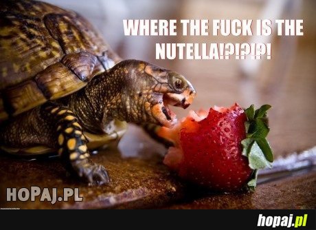 Where the fuck is the nutella!