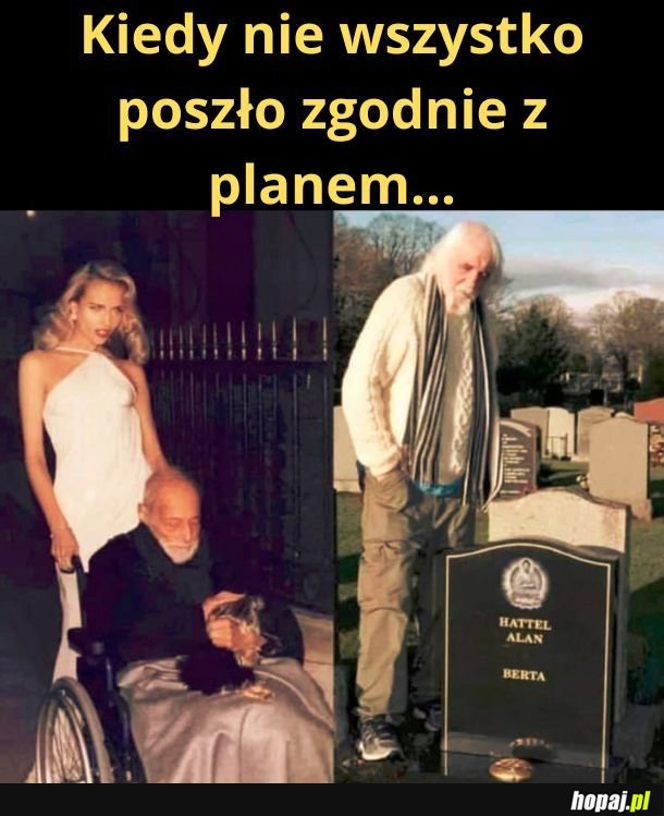 Z jego planem czy z jej planem? 