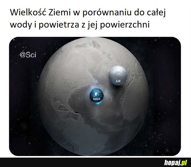 Wydaje się więcej