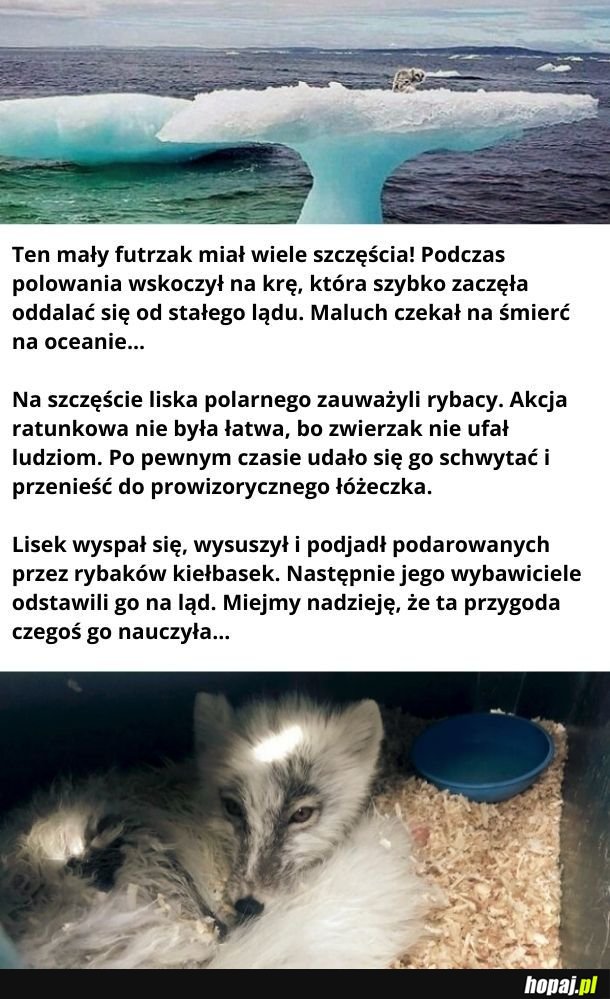 Wiara w ludzi przywrócona!