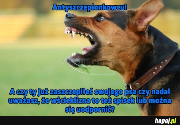 Antyszczepionkowcu!