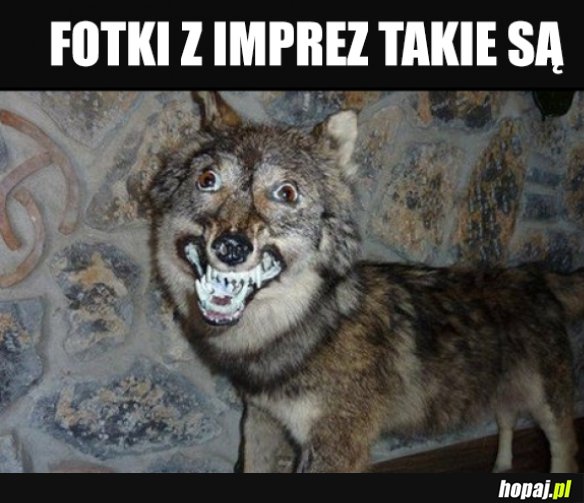 Fotki z imprez