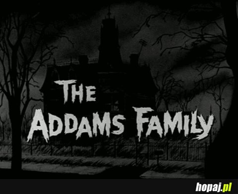 <3 Rodzinę Addamsów
