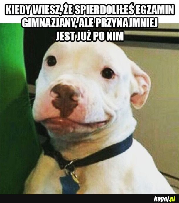 CIĘŻKI LOS GIMNAZJALISTY