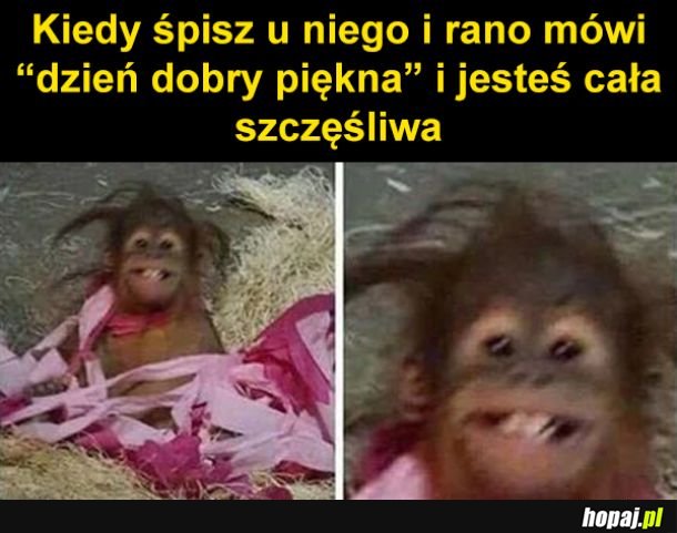 Dzień dobry piękna