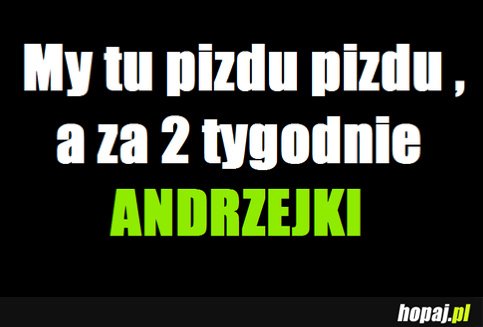 My tu pizdu pizdu