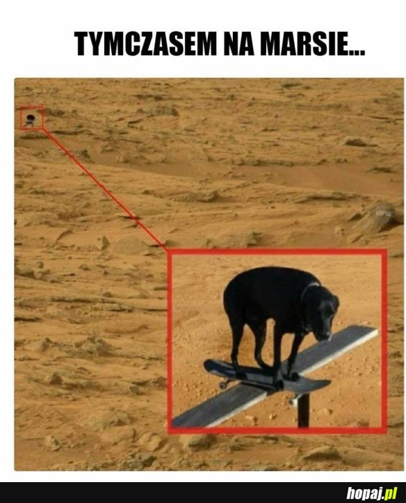 PIESEK