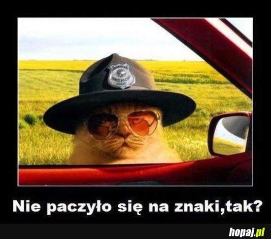Nie paczyło się na znaki, tak?