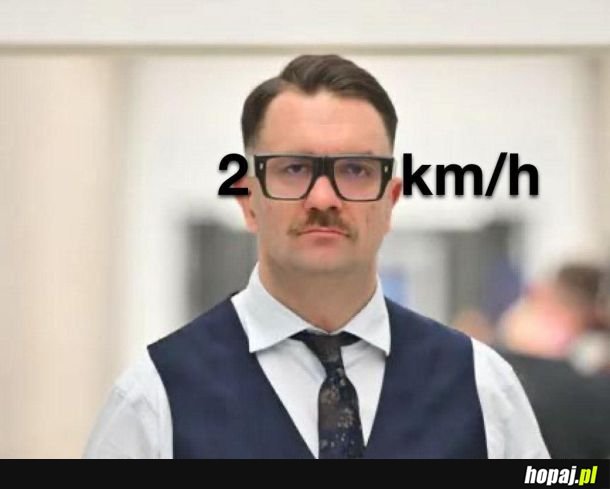 Łajza